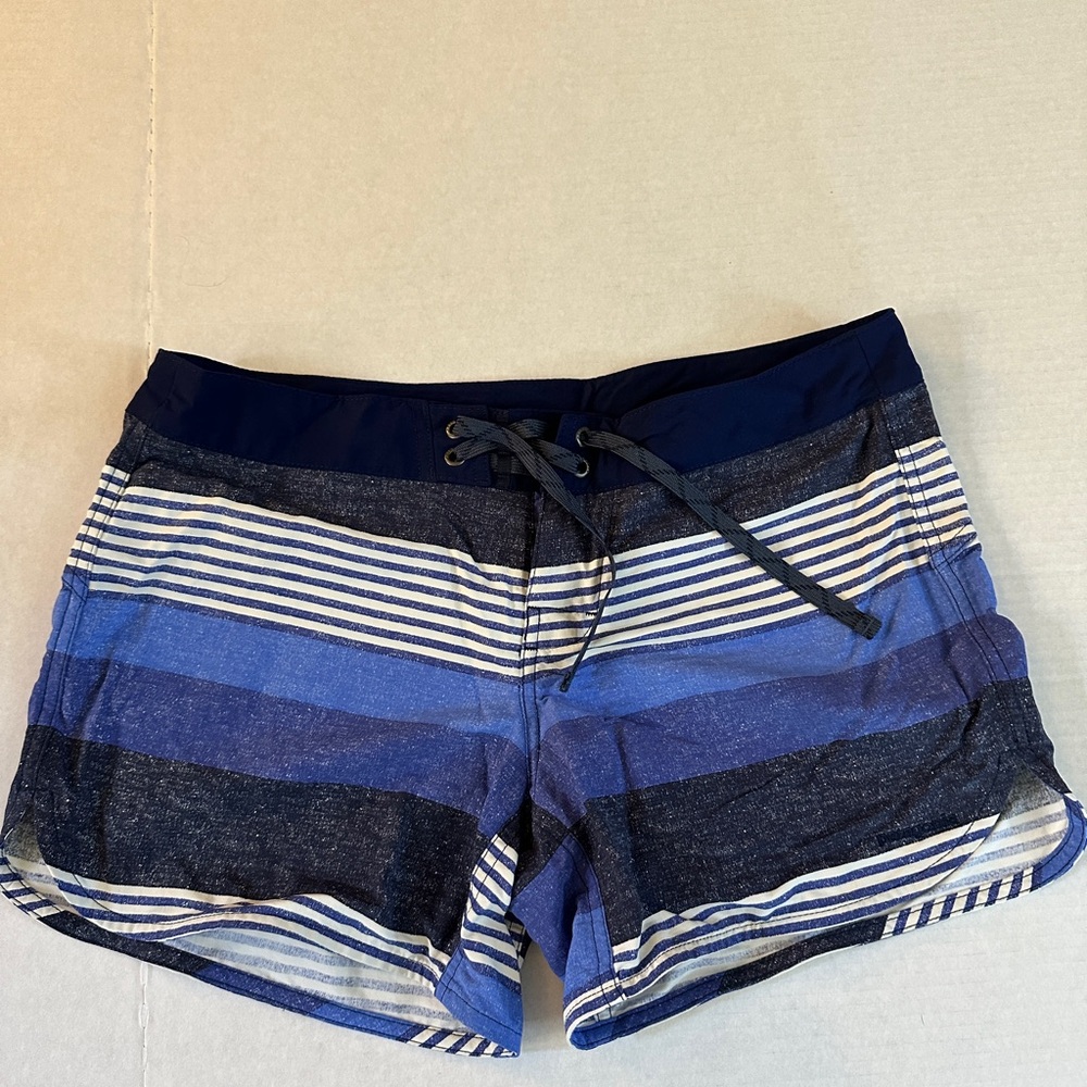 Patagonia Blue Athletic Shorts with Striped Pattern